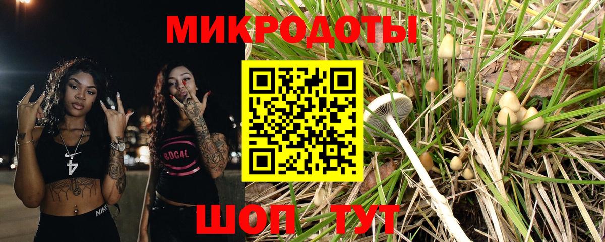 Галлюциногенные грибы GOLDEN TEACHER Похвистнево