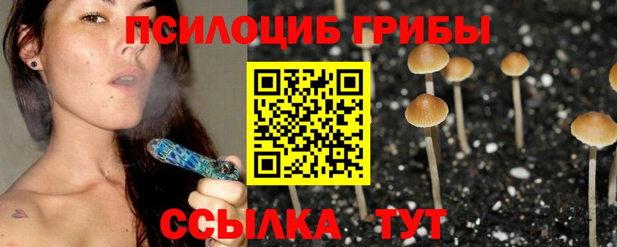 Похвистнево  Псилоцибиновые грибы Magic Shrooms  Вход с VPN 